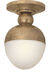 Visual Comfort Thomas O'Brien Clark 1 Light 8 inch Hand-Rubbed Antique Brass Flush Mount Ceiling Light TOB4006HAB-WG - Open Box