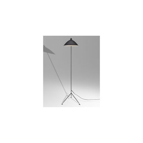 Canada 63 inch 40.00 watt Black Floor Lamp Portable Light