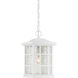 Stonington 1 Light 9.5 inch Matte White Hanging Lantern Ceiling Light
