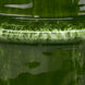Saturn 10.5 X 6.5 inch Vase in Medium, Medium