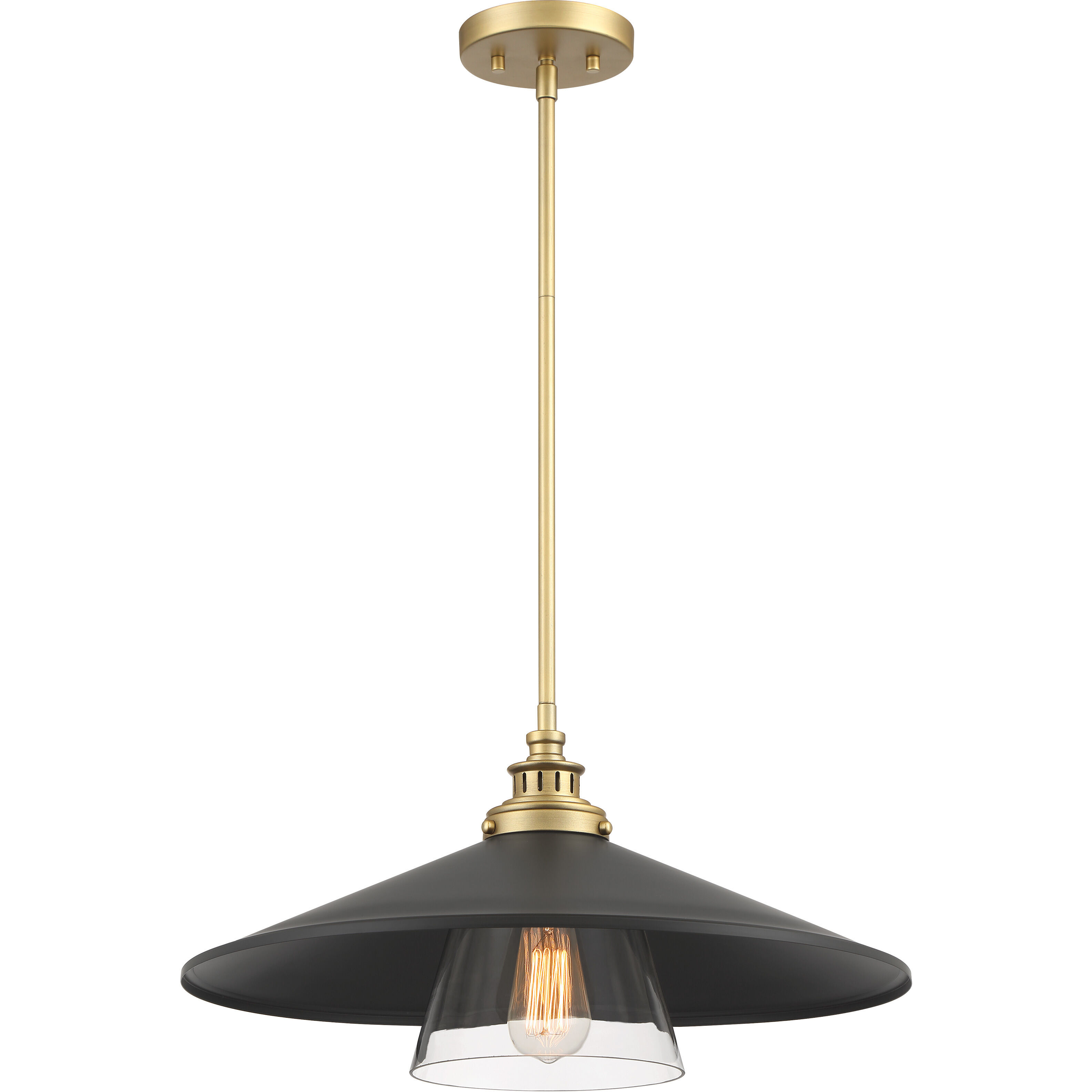 Segan 1 Light 20 inch Coal & Soft Brass (Painted) Pendant Ceiling Light, Outdoor
