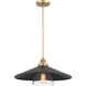 Segan 1 Light 20 inch Coal & Soft Brass (Painted) Pendant Ceiling Light, Outdoor