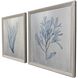 Oceanic Curiosity Blue and Metallic Framed Art, The Studio