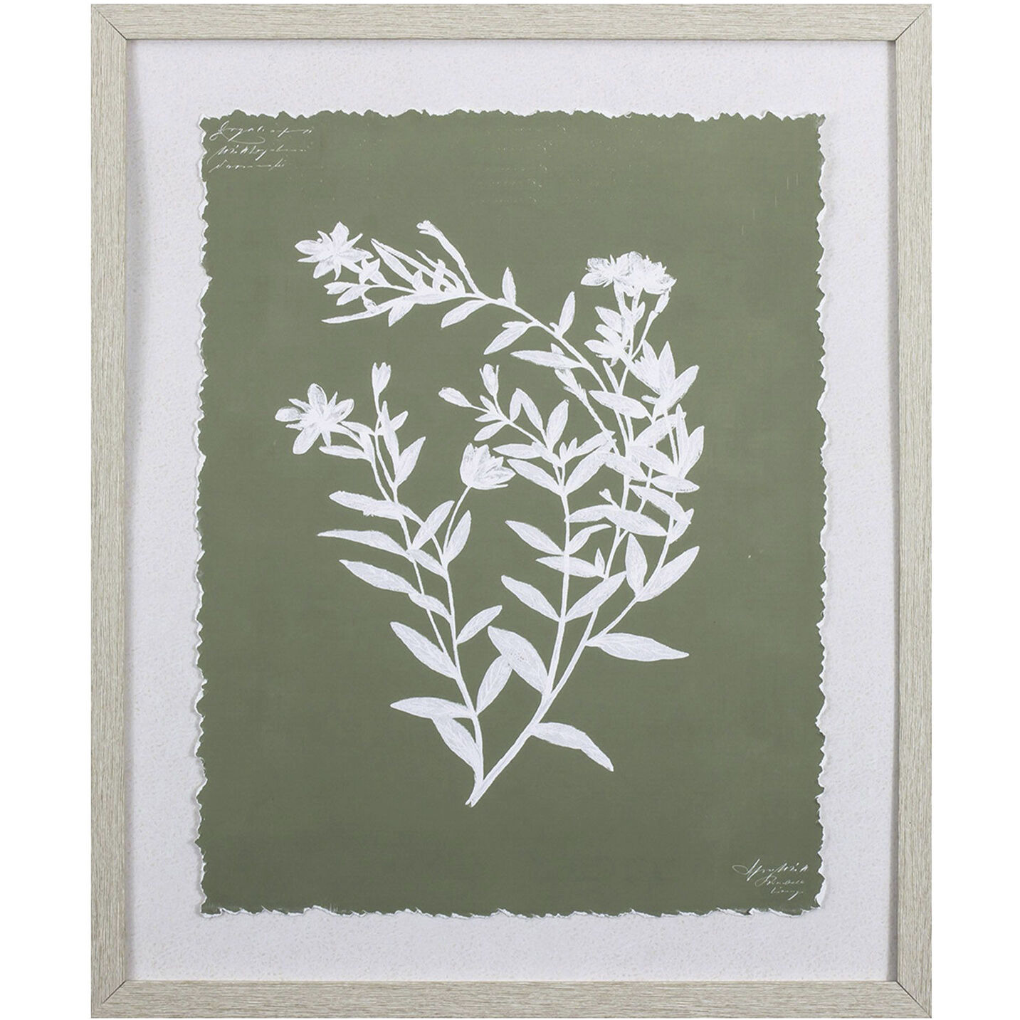 Botanical Garden Green Framed Art, Propac