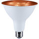 Starfish LED PAR38 E26 15.00 watt 2700K-5000K LED Bulb