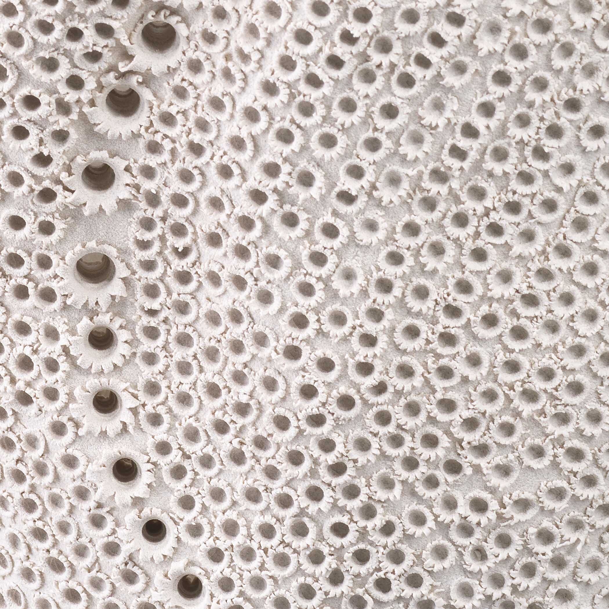 Dynasty 14 X 12 inch Vase in Matte White Porcelain