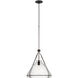 Amber Lewis Wren LED 17.75 inch Warm Iron Pendant Ceiling Light in Clear Glass