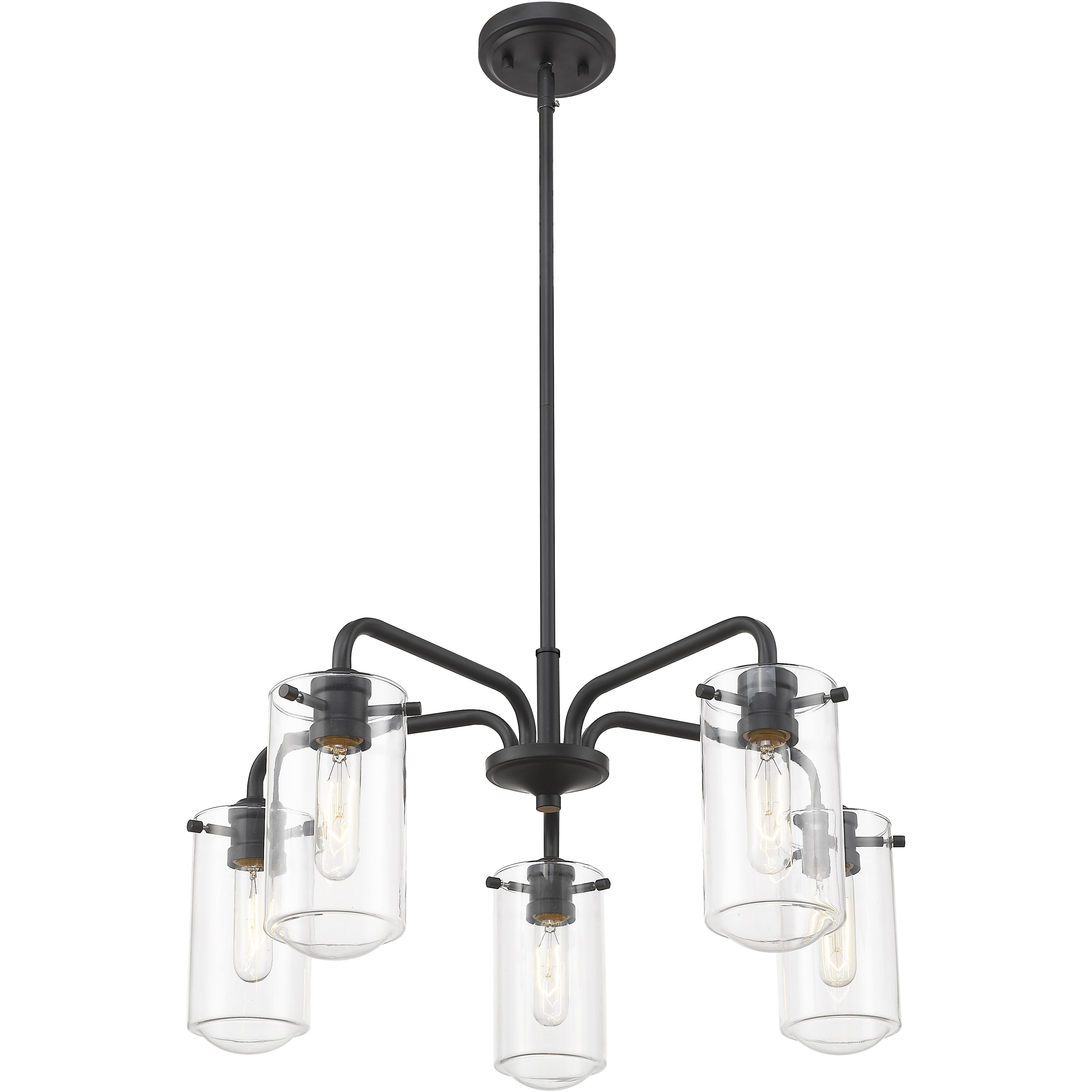 Delaney 5 Light 24 inch Matte Black Chandelier Ceiling Light