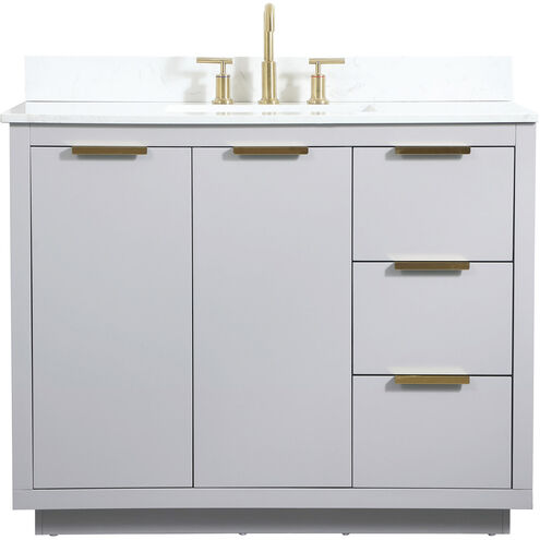 Blake 42 X 22 X 34 inch Grey Vanity Sink Set