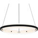 Malik 20 inch Matte Black Pendant Ceiling Light