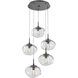 Nova Incandescent 5 Light Graphite Chandelier Ceiling Light, Round Multi-Port