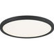 Outskirts 20 inch Earth Black Flush Mount Ceiling Light