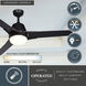 Crescent 22 inch Black with Black-Walnut Blades Ceiling Fan
