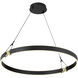 Recovery X LED 33.5 inch Coal And Satin Brass Pendant Ceiling Light