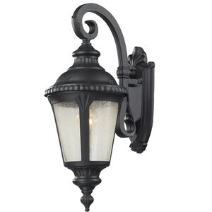 Medow 1 Light 19.63 inch Black Outdoor Wall Light