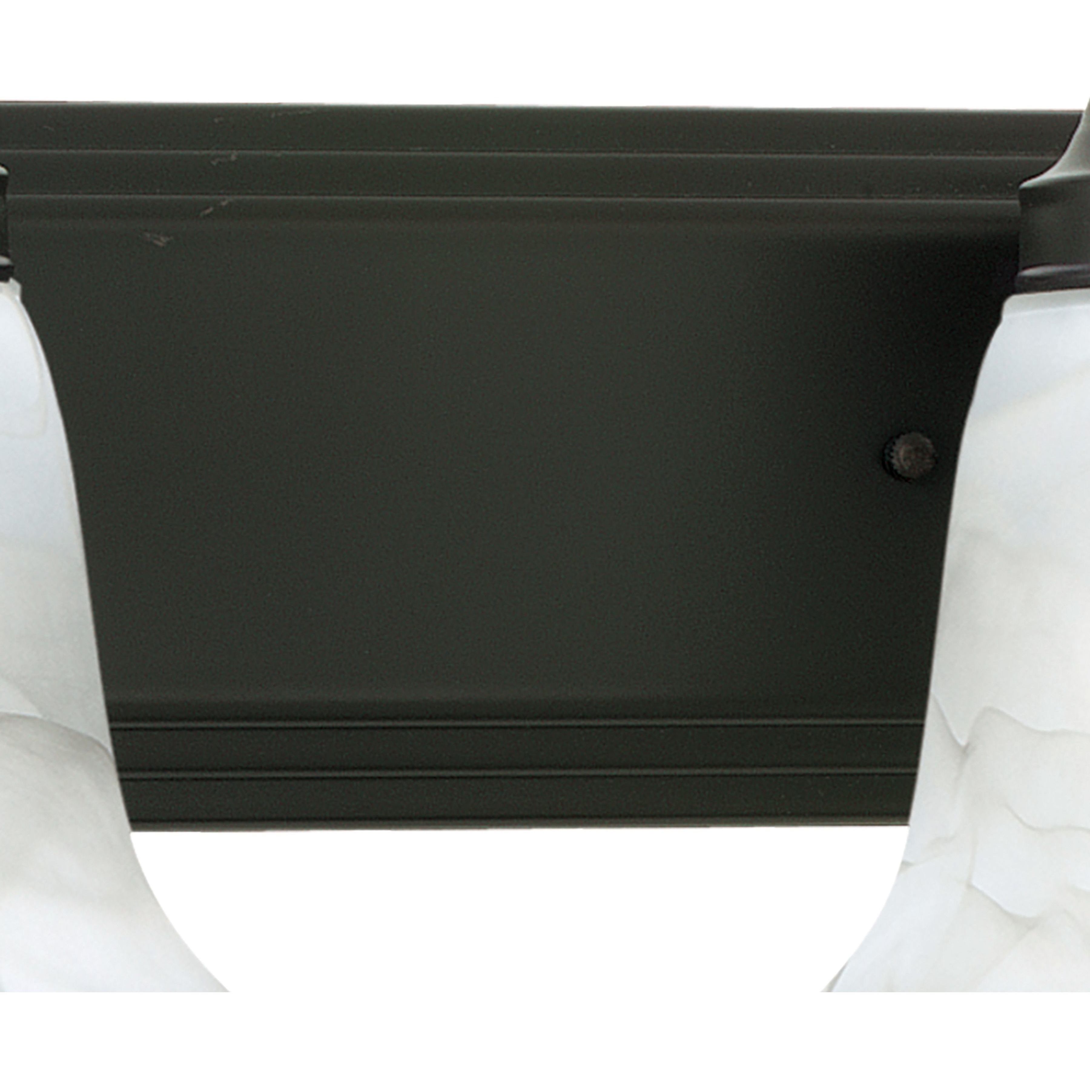 Homestead 2 Light 18 inch Painted Bronze Vanity Light Wall Light