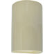 Ambiance Cylinder LED 12.5 inch Vanilla Gloss Outdoor Wall Sconce, Large
