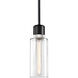 Zigrina 1 Light 5.88 inch Satin Brushed Black with Polished Nickel Pendant Ceiling Light