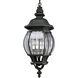 Kesley 4 Light 11.12 inch Textured Black Outdoor Hanging Lantern