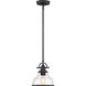Grant 1 Light 8 inch Palladian Bronze Mini Pendant Ceiling Light