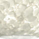 Coco 8 1 Light Black Cord Pendant Ceiling Light