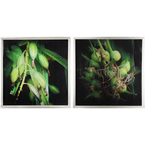 Botanical Photography Green/Black Wall Art