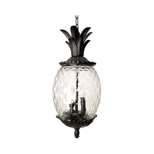Lanai 3 Light 10 inch Matte Black Exterior Hanging Lantern