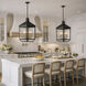 Midnight Manor 4 Light 18.5 inch Blackened Zinc and Antique Bronze Pendant Ceiling Light