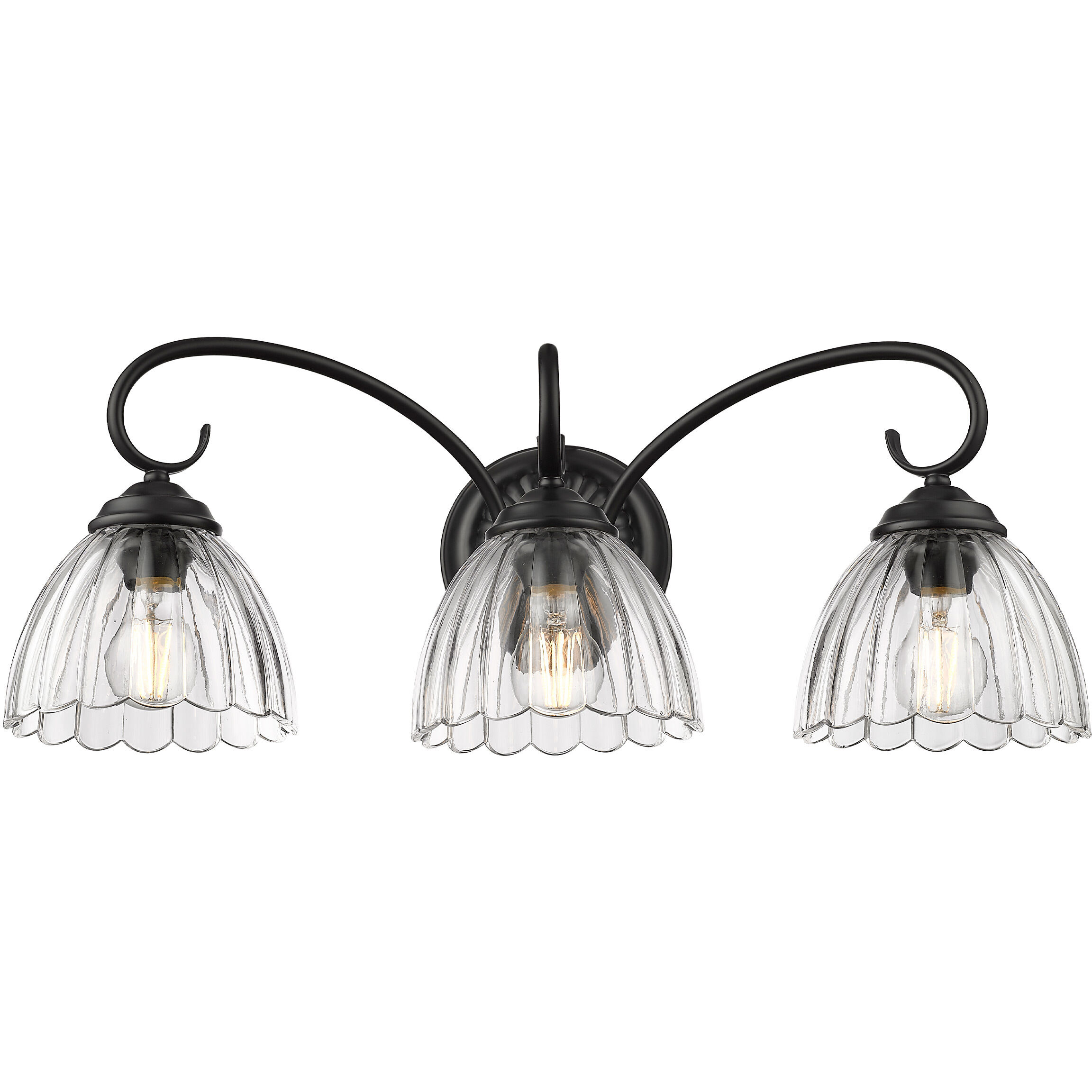 Audra Vanity Wall Light in Matte Black