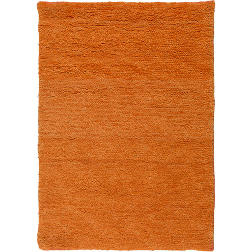 Cotswald 36 X 24 inch Burnt Orange Rug