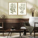 Botanical Plants Green and Multi and Neutral and Yellow Framed Art