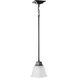 Clifton Heights 1 Light 6 inch Matte Black Mini Pendant Ceiling Light