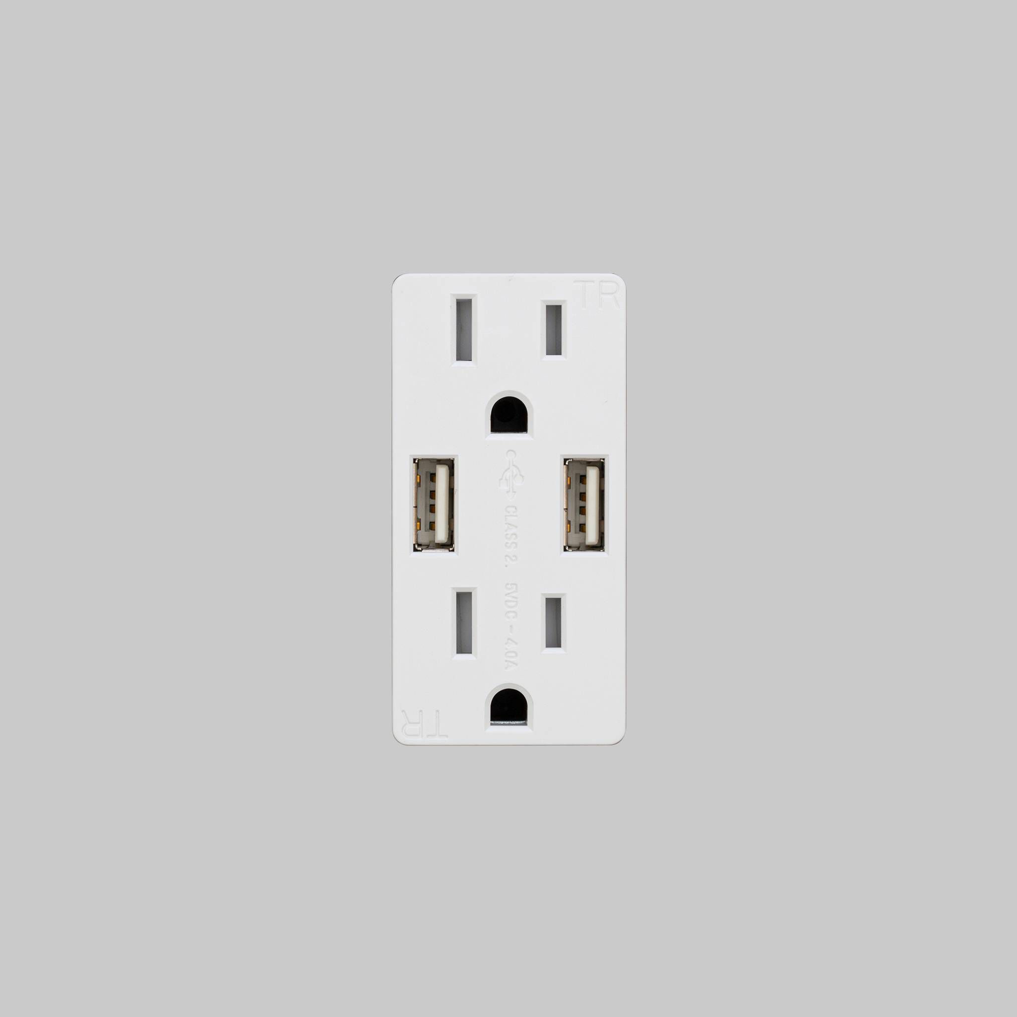 Duplex White Outlet Module, 2 USB-A