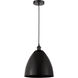 Edison Dome 1 Light 12 inch Matte Black Mini Pendant Ceiling Light