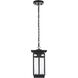 Livingston 1 Light 6.5 inch Black Outdoor Pendant