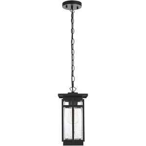 Livingston 1 Light 6.5 inch Black Outdoor Pendant