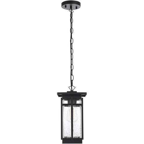 Livingston 1 Light 6.5 inch Black Outdoor Pendant