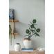 Girl Gray Planter