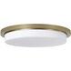 Dominic LED 16 inch Aged Brass Flush Mount Ceiling Light