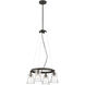 Graham Avenue 4 Light Smoked Iron/Brushed Nickel Chandelier Ceiling Light