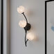 Walker Wall Sconce Wall Light in Matte Black