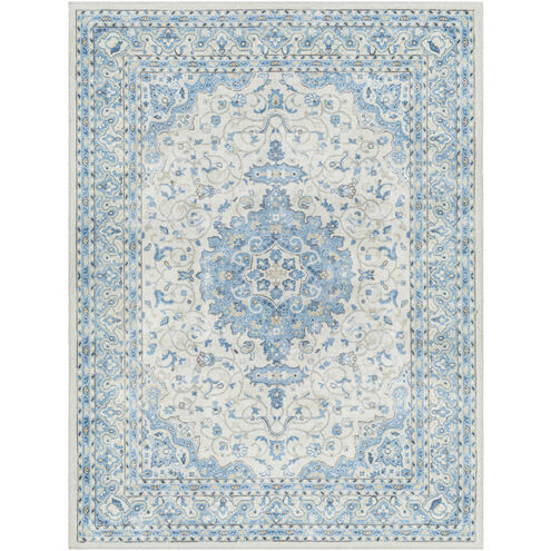 Hera 84 X 63 inch Light Grey Rug, Rectangle