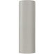 Ambiance Tube LED 17 inch White Crackle Outdoor Wall Sconce