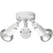 Twin Head Basic 2 Light 4.75 inch Matte White Outdoor Security Flood Light