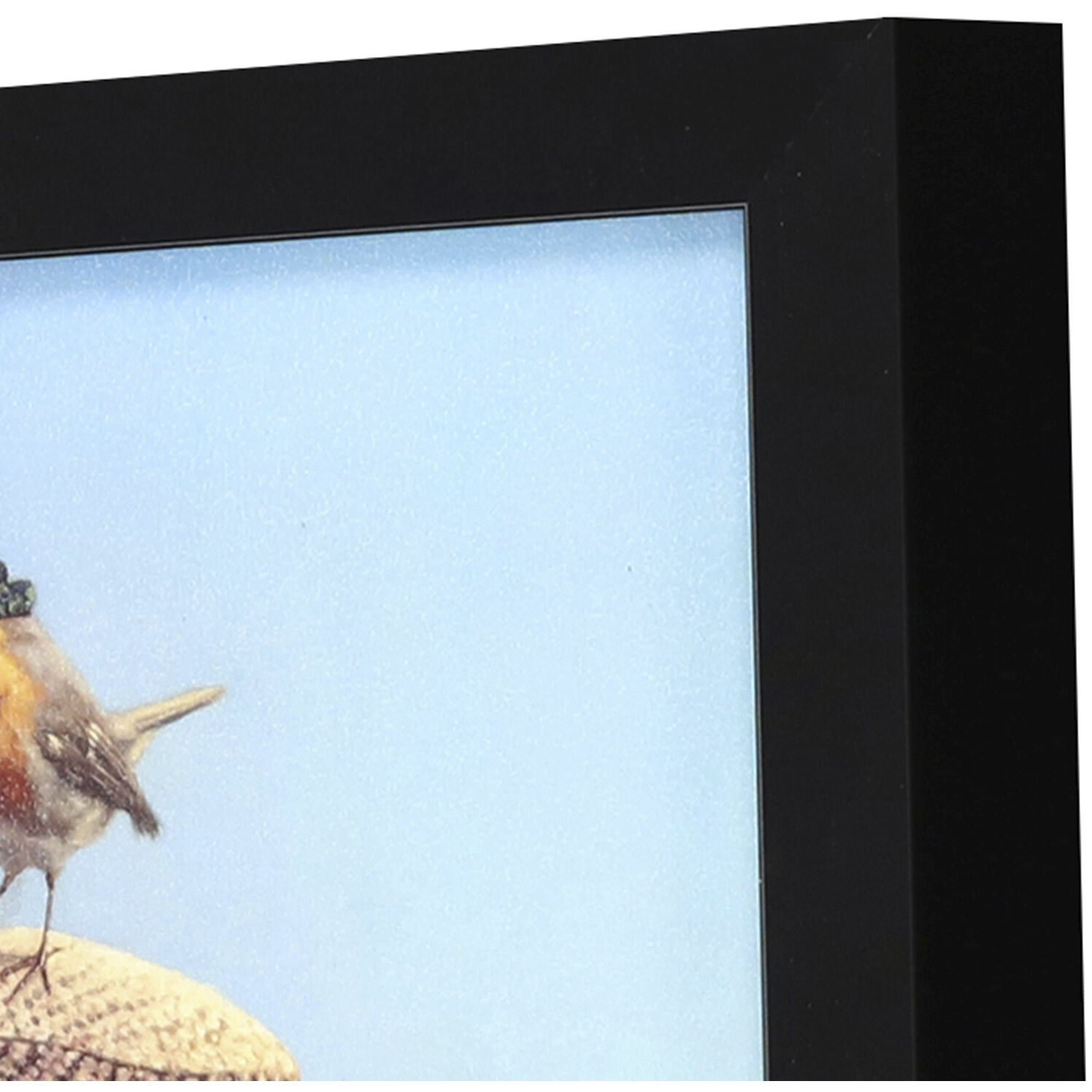 Animals 11 X 9 inch Non-Glass Framed Art, Propac