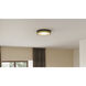 Weldin LED 11 inch Matte Black Gold Flush Mount Ceiling Light