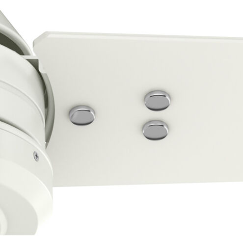 Cassius 60 inch Fresh White with Light Stripe/Fresh White Blades Outdoor Ceiling Fan