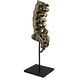 Vertebrae Antique Brass with Matte Black Decor Accessory