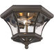 Monterey/Georgetown 2 Light 11 inch Bronze Outdoor Ceiling Mount