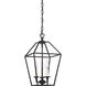 Aviary 3 Light 10 inch Palladian Bronze Foyer Pendant Ceiling Light